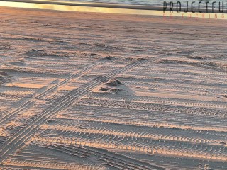 Sexo arriesgado en la playa con una chica en leggings ajustadas